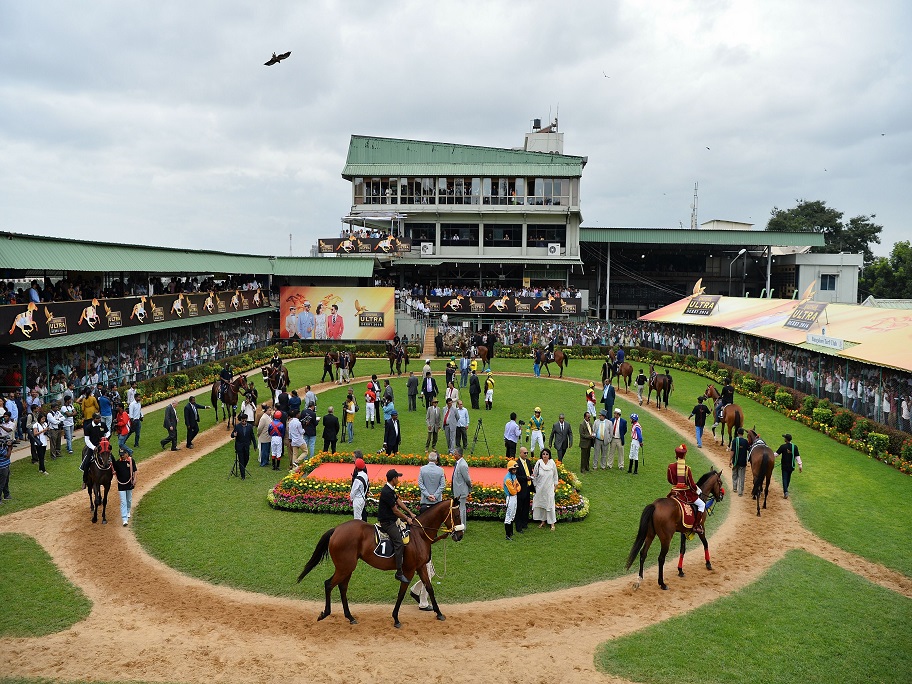 Horse race betting in bangalore north correlazione cross forex news